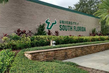 University of South Florida